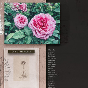 FlowersForMe