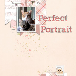 Perfect Portrait