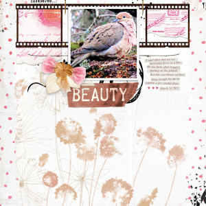 Lynn-Grieveson_2021-04-April_SOSN_0414_Birdseed_Botanical-Mix_Connected-TP_web
