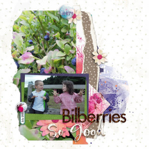Bilberries