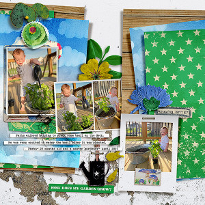 How Does My Garden Grow?