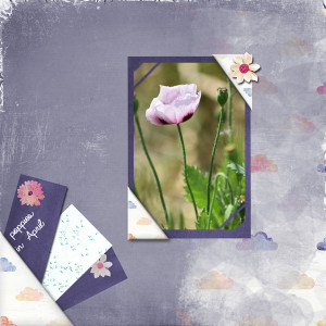 Random-April