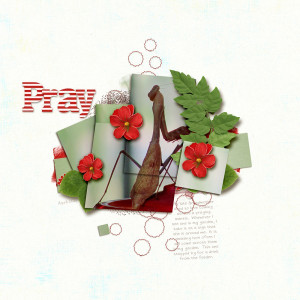 Pray