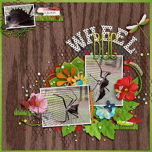 Wheel Bug