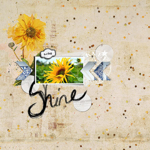 shine