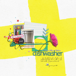 New Dishwasher
