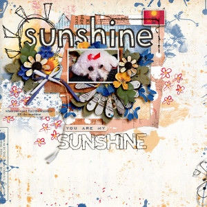 SOSN_4-21_M3_FDD_Sunshine