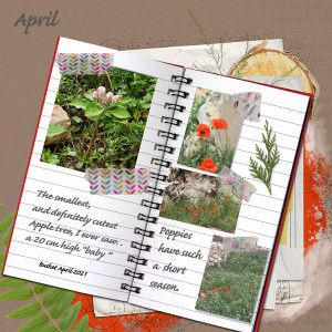 Scrap-lift-April