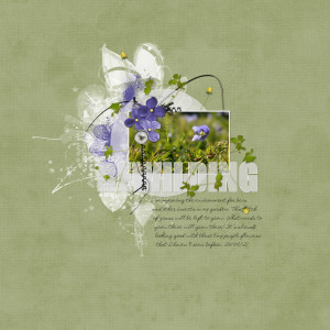 Rewilding