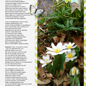 Pink-Reptile-Designs_2021-04_April_SOSN_0421_Tales-of-Spring_web