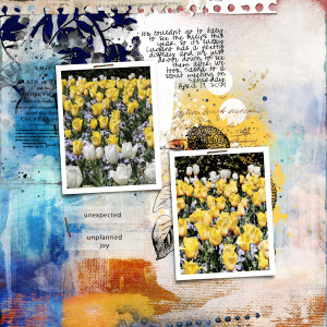 210417_tulips