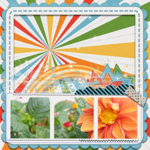 KAagard Over The Moon For Dahlias