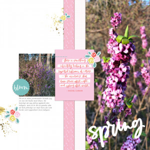 Spring