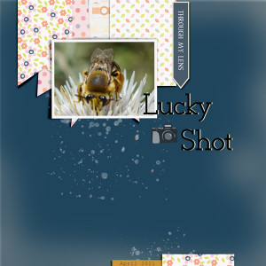 Soco_TLP_April-template