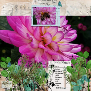 April Rachel Jefferies Challenge