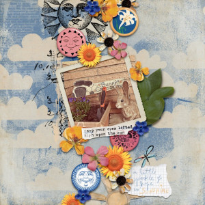 Photo Hope-1