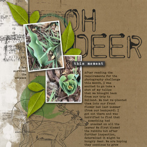 Oh Deer!