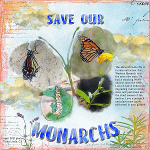 Save Our Monarchs
