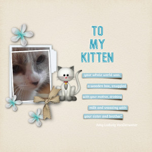 To My Kitten
