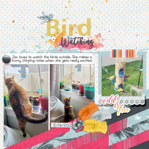 BirdWatching
