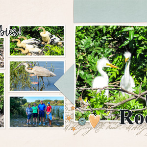 Venice Rookery