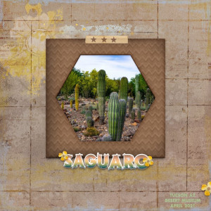 Saguaro