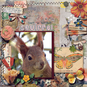 squirrel