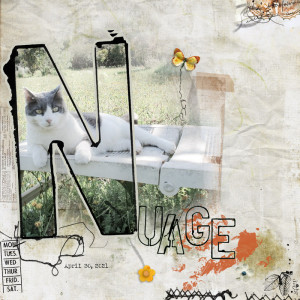 Nuage
