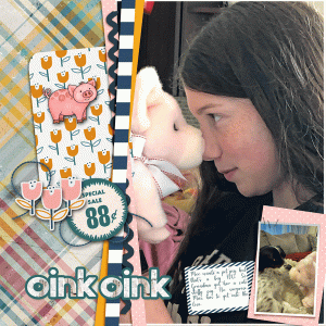 INSDTemplate_oinkoink