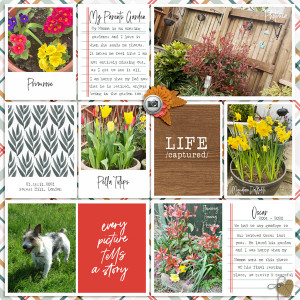 Designed by Soco x Sabrina's Creations: Life Captured - Garden