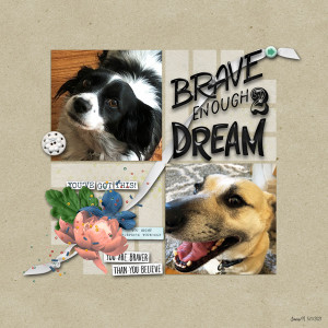 MIS_braveenough