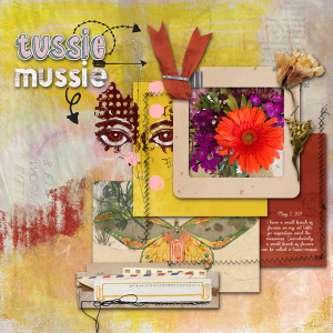 INSDQuickSlowScrap_tussiemussie