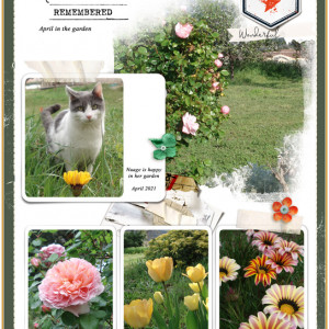 April in the Garden
