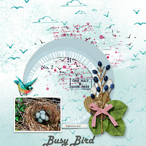 INSD_quick-slowcrap_5-03_flowersgal_web
