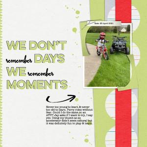 We Don't Remember Days We Remember Moments