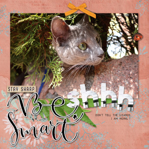 210310_cat Smart