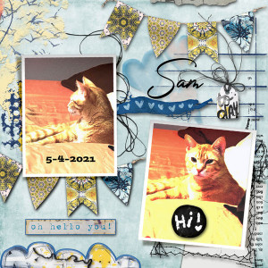 May BYOC {Sam}