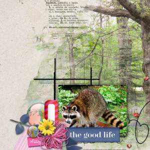 2021-05_May-TLP_0507-Slow-Scrap_NBK_web