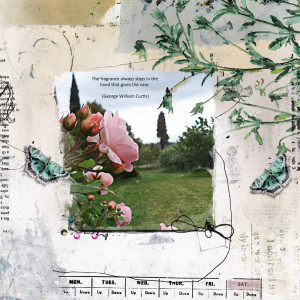 The fragrance