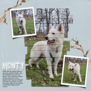 Monty