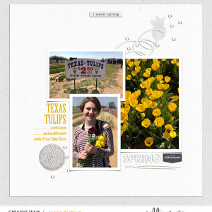 Tulip_Farm