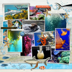 Monterey Bay Aquarium - Left