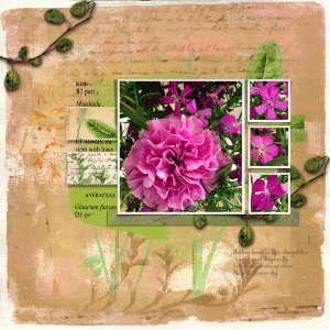 Fdd_magentaflowers