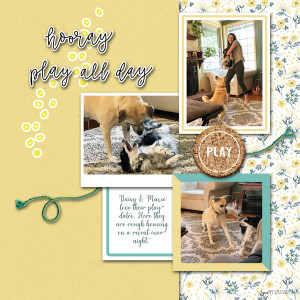 Sahindesigns_play