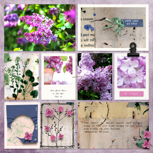 21-05_TLP_May-BYOCcChallenge