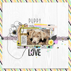 Puppy Love