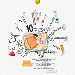 10 Things In My Purse