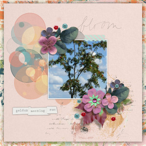 Bloom