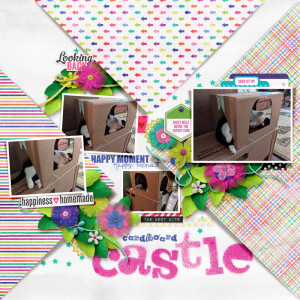 Cardboard Castle
