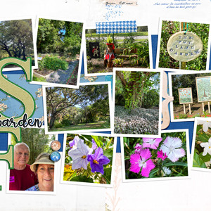 USF Botanical Garden